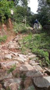 Camino de piedras y tierra entre la vegetación